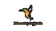 Masonry Legends