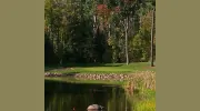 Island Brae Golf Club