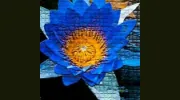 Mosaic Massage Therapy