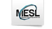 Milestone Engineering Service