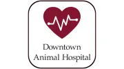 Downtown Animal Hospital