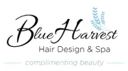 Blue Harvest Hair Design & Spa