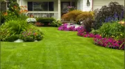 Markham Landscaping Services