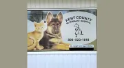 Kent County Veterinary Hospital