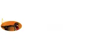 The Wooden Duck Real Estate Brokerage