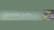 Charlotte Sutker Consulting