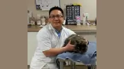 Malvern Veterinary Hospital