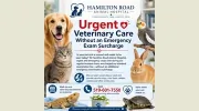 Hamilton Road Animal Hospital