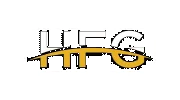 Hynek Financial Group