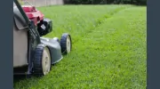SLP Landscaping