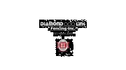Diamond Link Fencing
