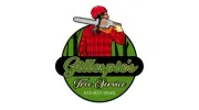 Gillespie's Tree Service