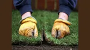 Lawrence Landscaping
