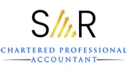 Syed A Raza Professional