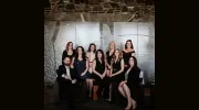 Spruceland Insurance Brokers