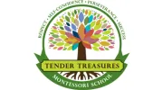 Tender Treasures Montessori School