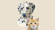 Greenwich Veterinary