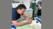 Lakeshore Animal Clinic