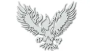 Phoenix Electrical Services