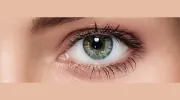 Dr. Anson Chan Optometrist
