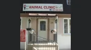 Church Yonge Animal Clinic