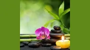 Cocoon Day Spa