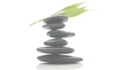Alma Wellness