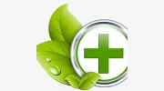 Belleville Psychotherapy