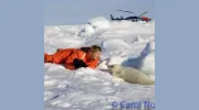 Carol Norris Photography