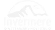 Invermere Veterinary Hospital