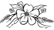 Wild Roots Flowers & Gifts