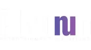 Platinum Entertainment Solutions