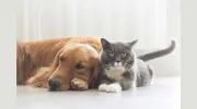 Bridgetown Animal Hospital