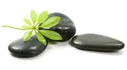 Family Acupuncture Wellness Clinic