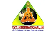 SAVY International