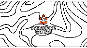 Porcupine Canvas