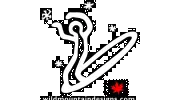 Wild Mountain Designs