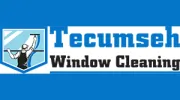 Tecumseh Window Cleaning