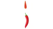 Tandoori Flame
