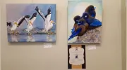 Wayne Arthur Gallery
