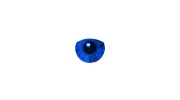 In Focus Eyecare