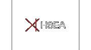 HSEA Architecture