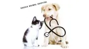 Sussex Animal Hospital