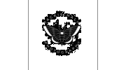 Jackie Hall Photography