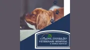 Georgian Bay Veterinary Hospital