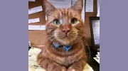 Eldale Veterinary Clinic