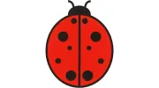 Lady Bug Daycare