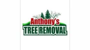 Anthonys Tree Removal