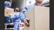 Torex Moving