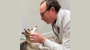Firth Veterinary Hospital